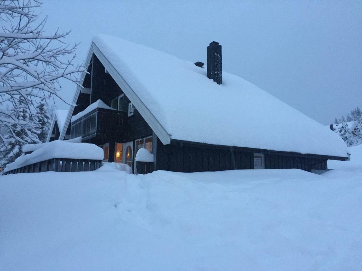 Trysil Alpin 16A Top Location Eksteriør billede