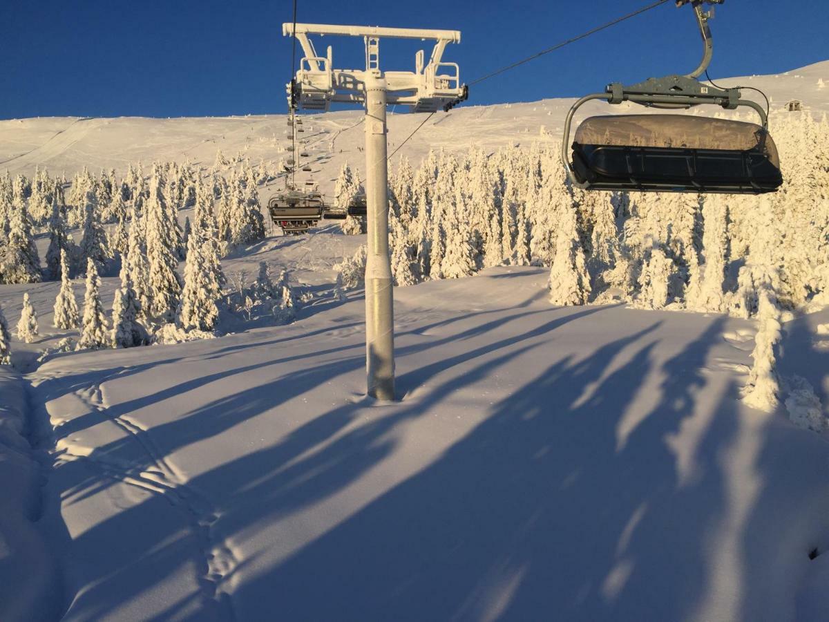 Trysil Alpin 16A Top Location Eksteriør billede
